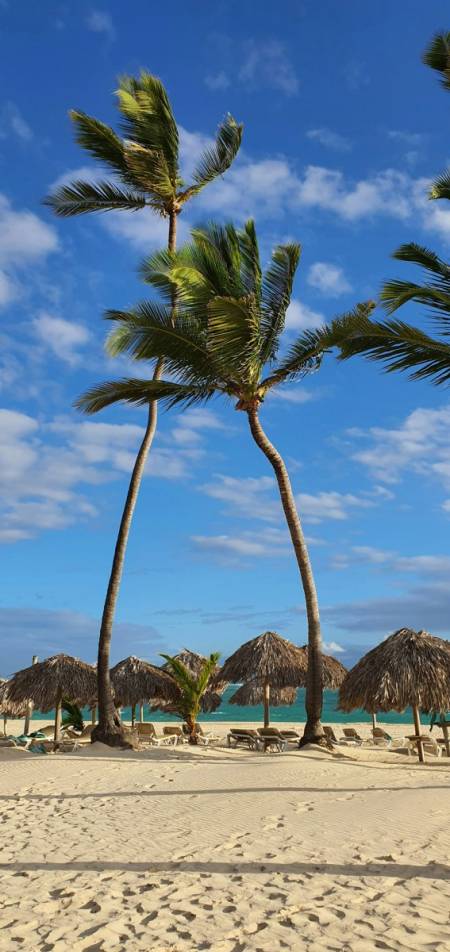 Hotel El Imperio Punta Cana2